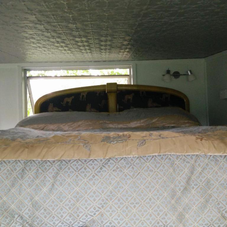 Starry Nights Cabin Fever Waikino Quarto foto